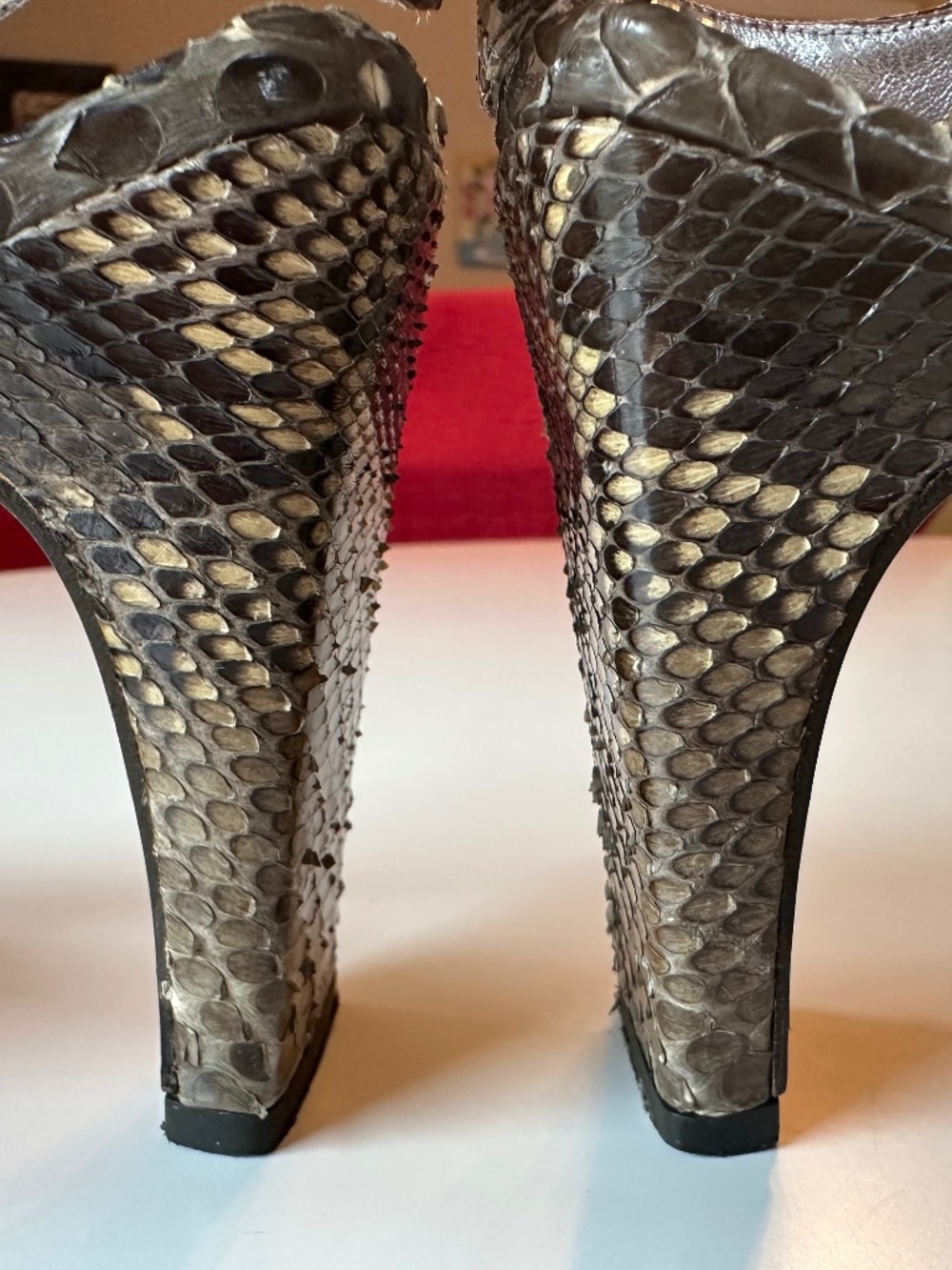 Python Heels - Picture 10 of 16